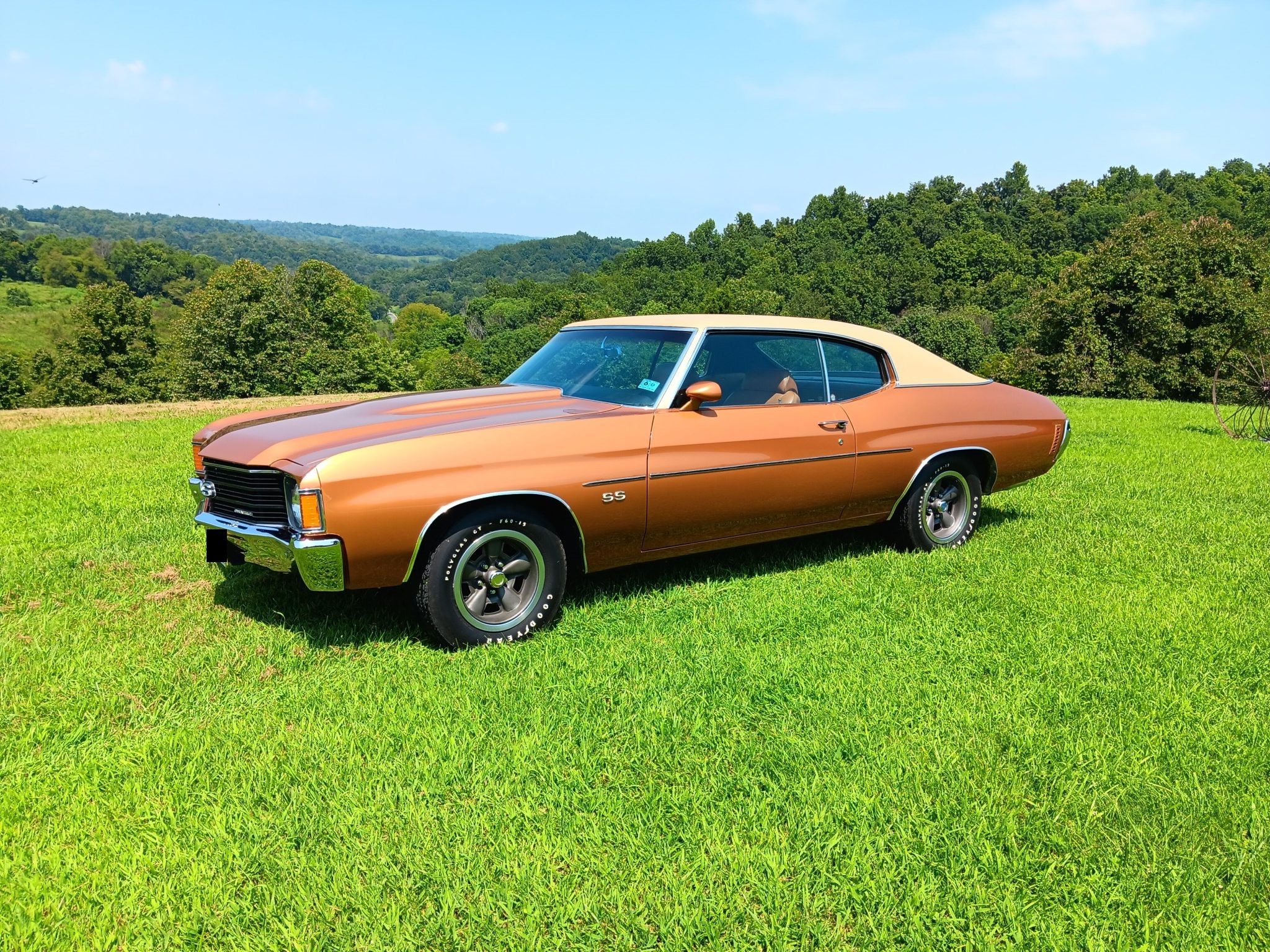 1972 Chevrolet Chevelle for Sale – Classic American Muscle Icon