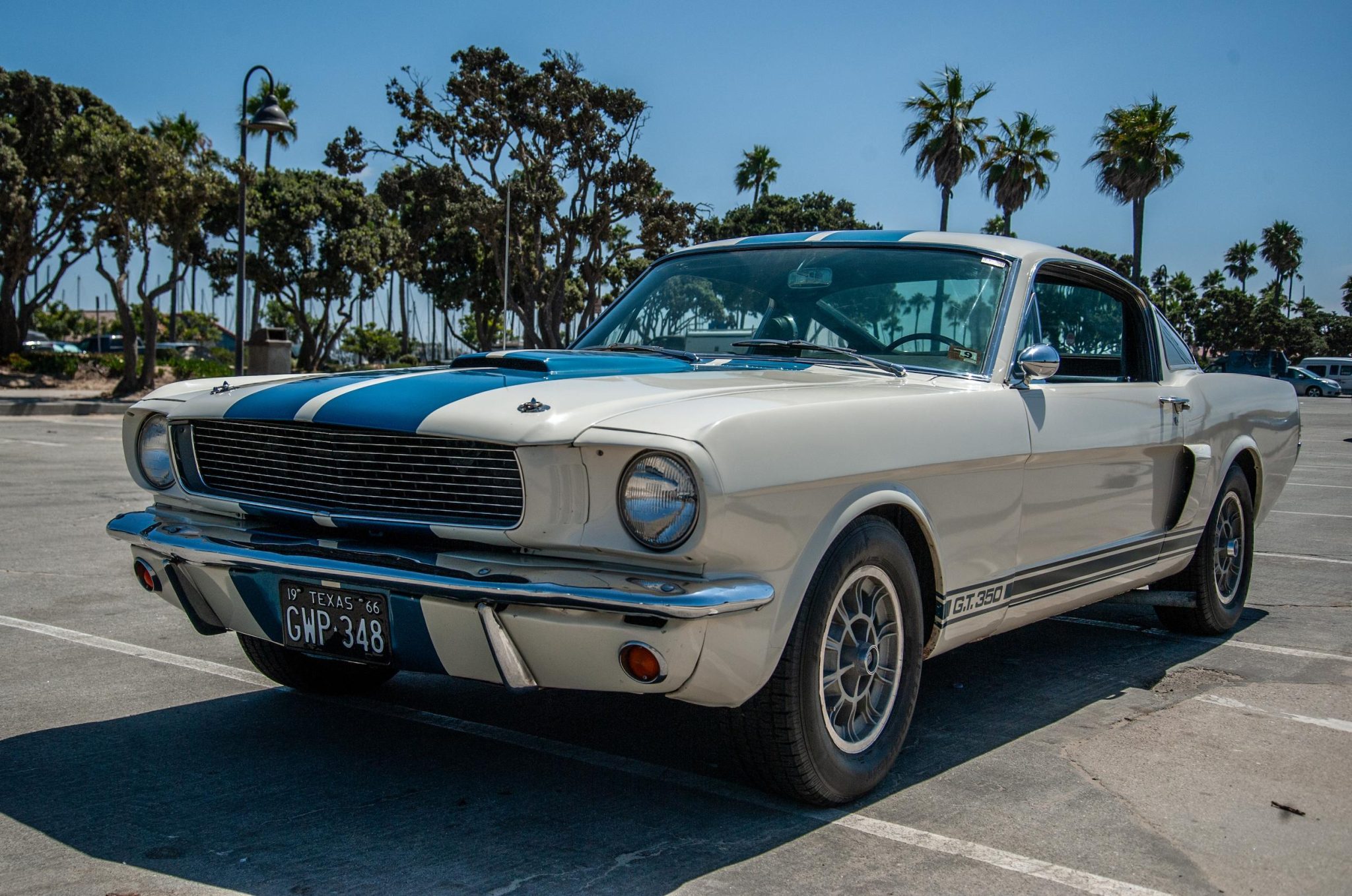 1966 Shelby Mustang GT350 & GT500 zu verkaufen – Legendäre Performance Ikonen
