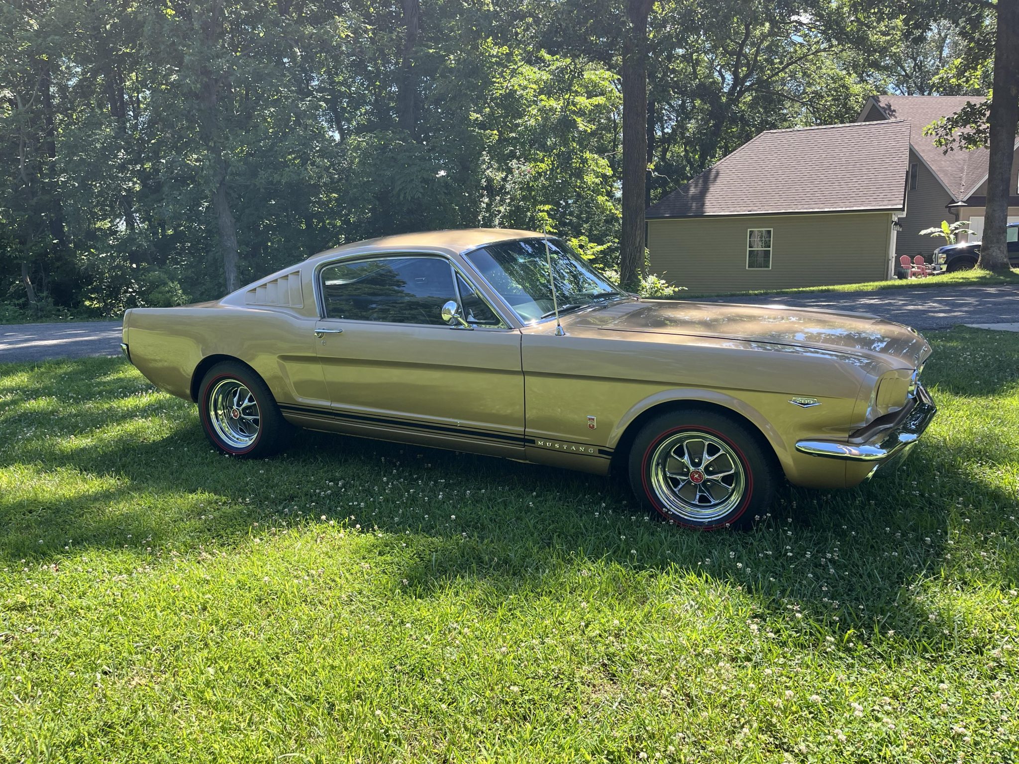 1966 Ford Mustang (1964.5-1966) zu verkaufen – Ikonisches Pony Car der ersten Generation