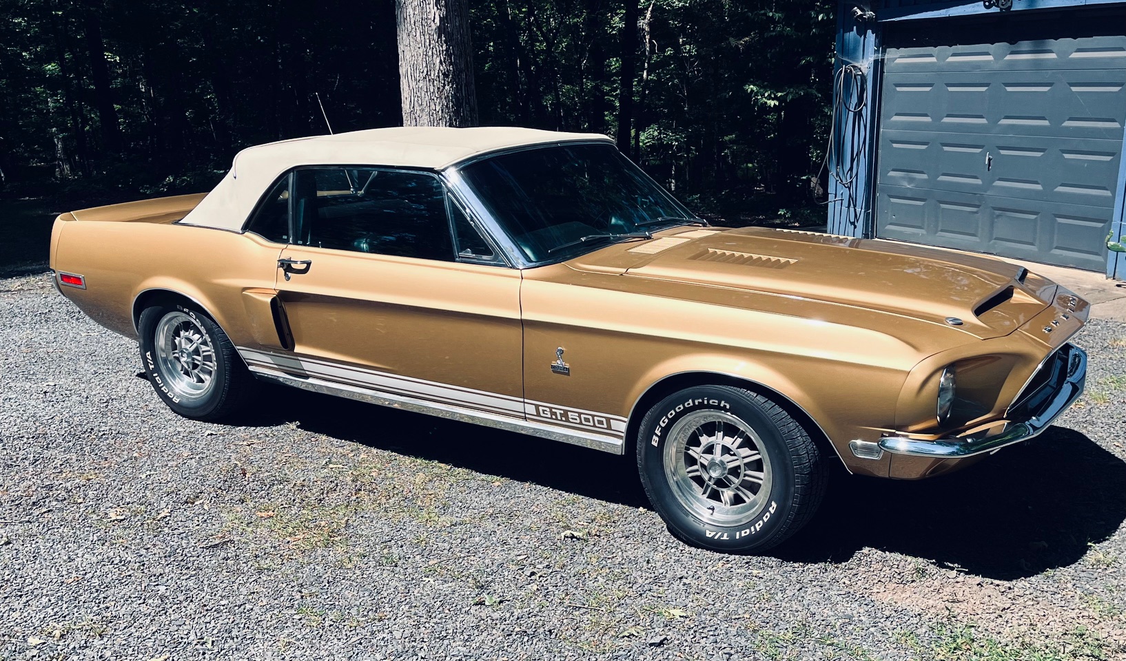 1968 Shelby Mustang GT350 & GT500 zu verkaufen – Legendäre amerikanische Muscle-Car Ikonen