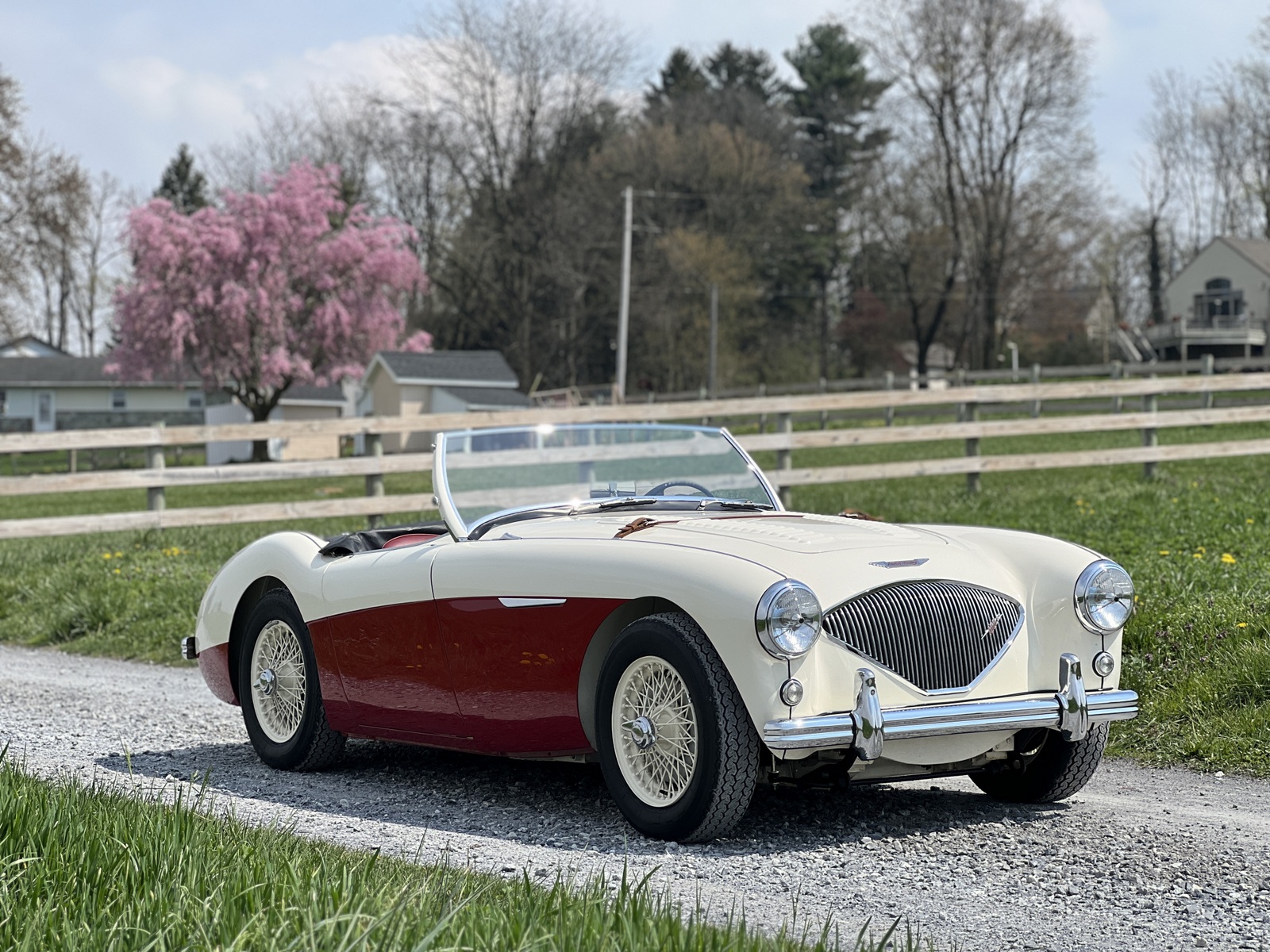 1955 Austin-Healey 100 zu verkaufen – Klassischer britischer Roadster