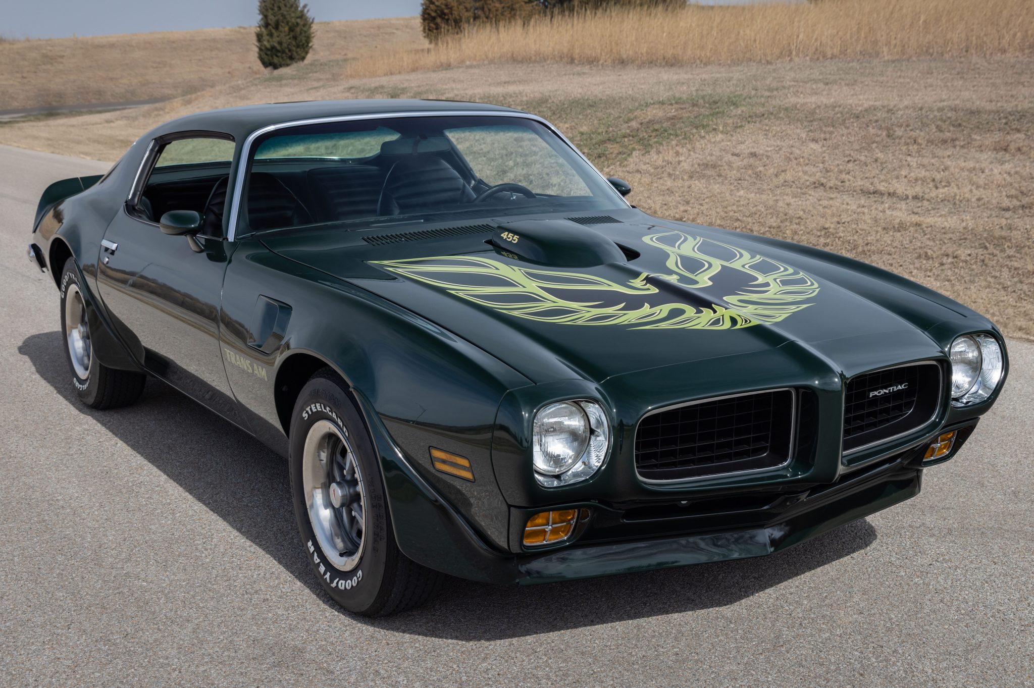 1973 Pontiac Firebird zu verkaufen – Klassisches amerikanisches F-Body Muscle-Coupé