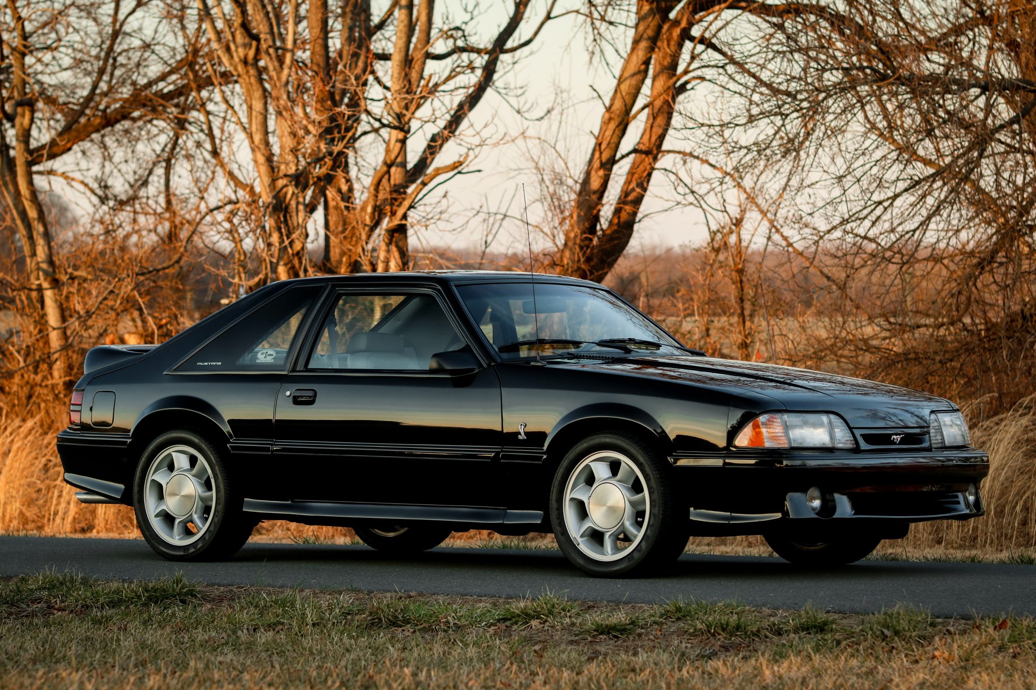 Ford Fox-Body Mustang 1993 zu verkaufen – Amerikanische 5.0 Performance-Ikone