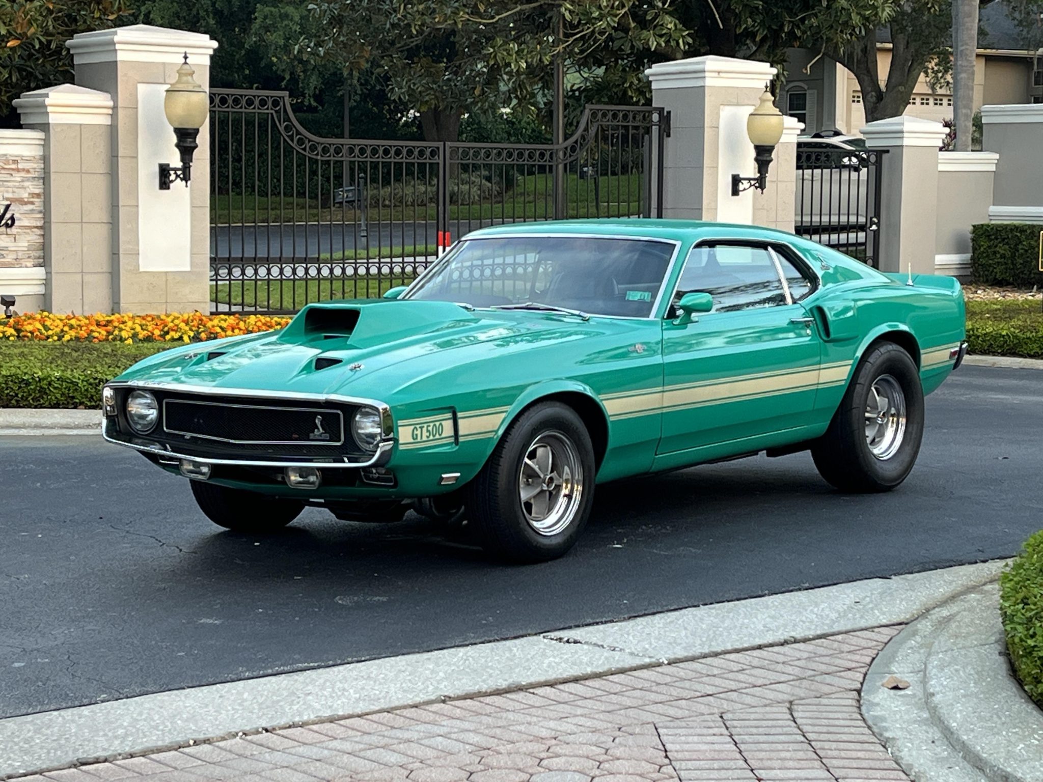 1970 Shelby Mustang GT350 & GT500 zu verkaufen – Legendäre amerikanische Muscle-Car Ikone