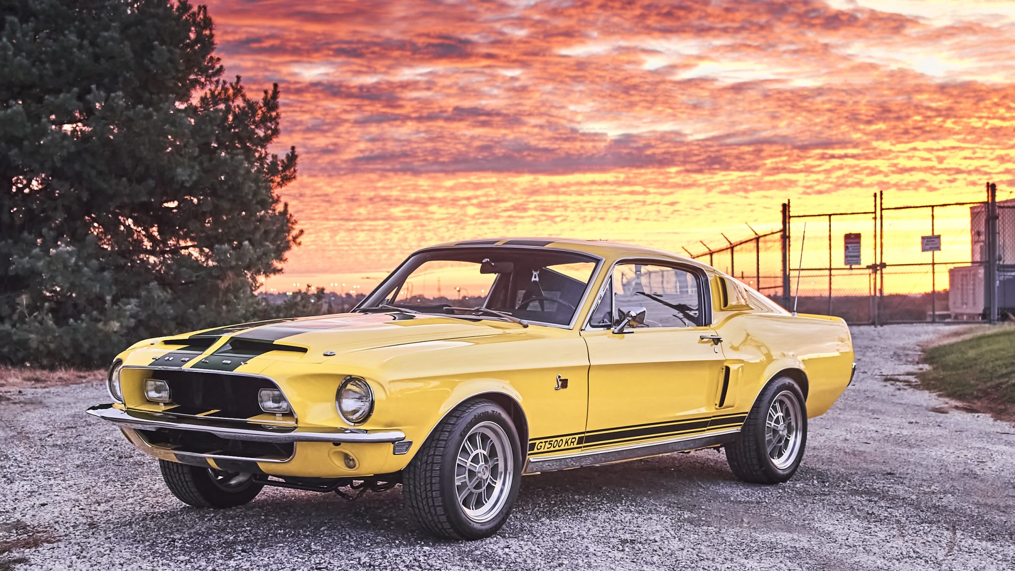 1968 Shelby Mustang GT350 & GT500 zu verkaufen – Amerikanische Performance-Legenden