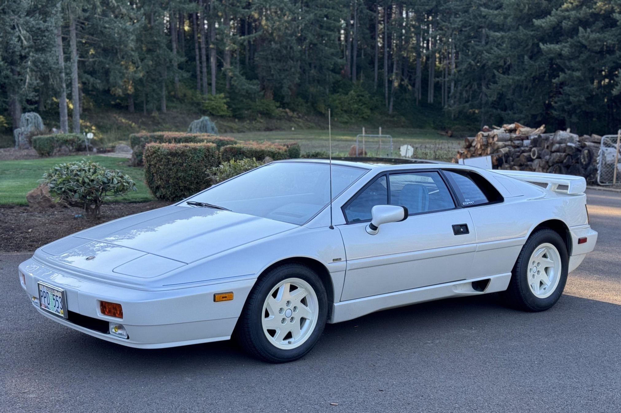 1988 Lotus Esprit for Sale – Turbo Era Styling, Lightweight Performance, and Collector Appeal