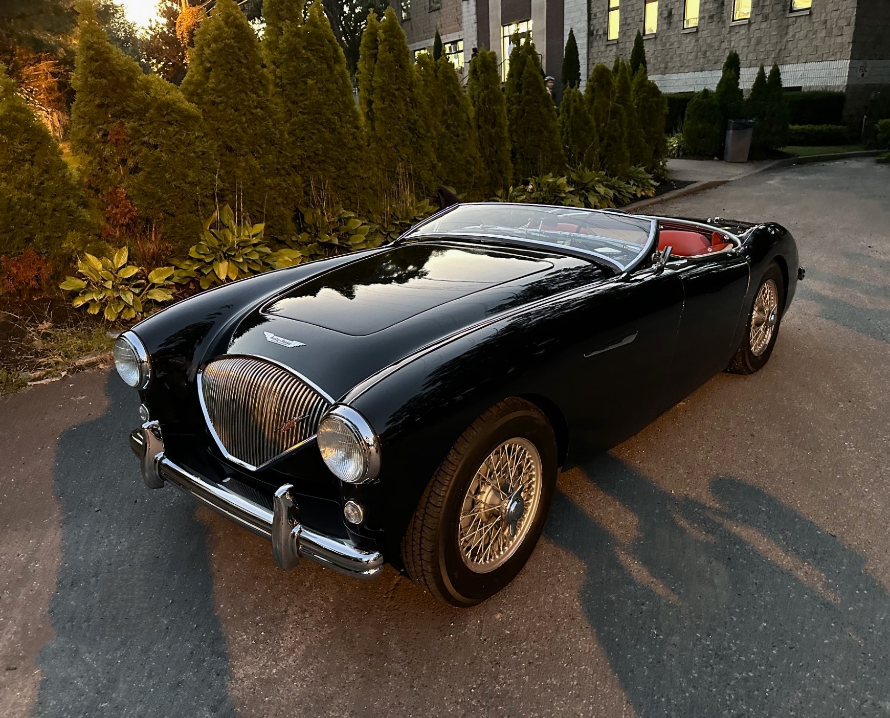 Austin-Healey 100 1954 à vendre – Roadster britannique et prestige collection