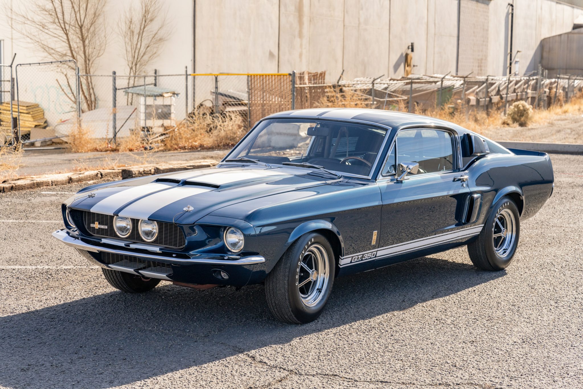 1967 Shelby Mustang GT350 & GT500 for Sale – American Muscle Legends