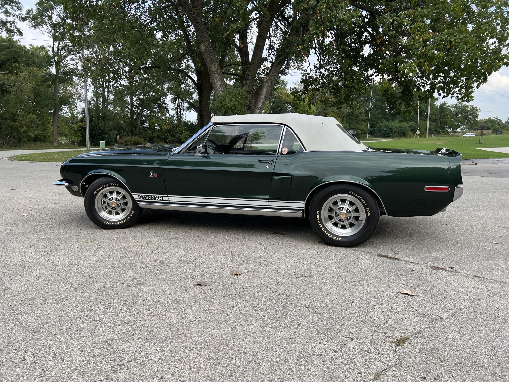 Shelby Mustang GT350 & GT500 1968 à vendre – Icônes américaines classiques