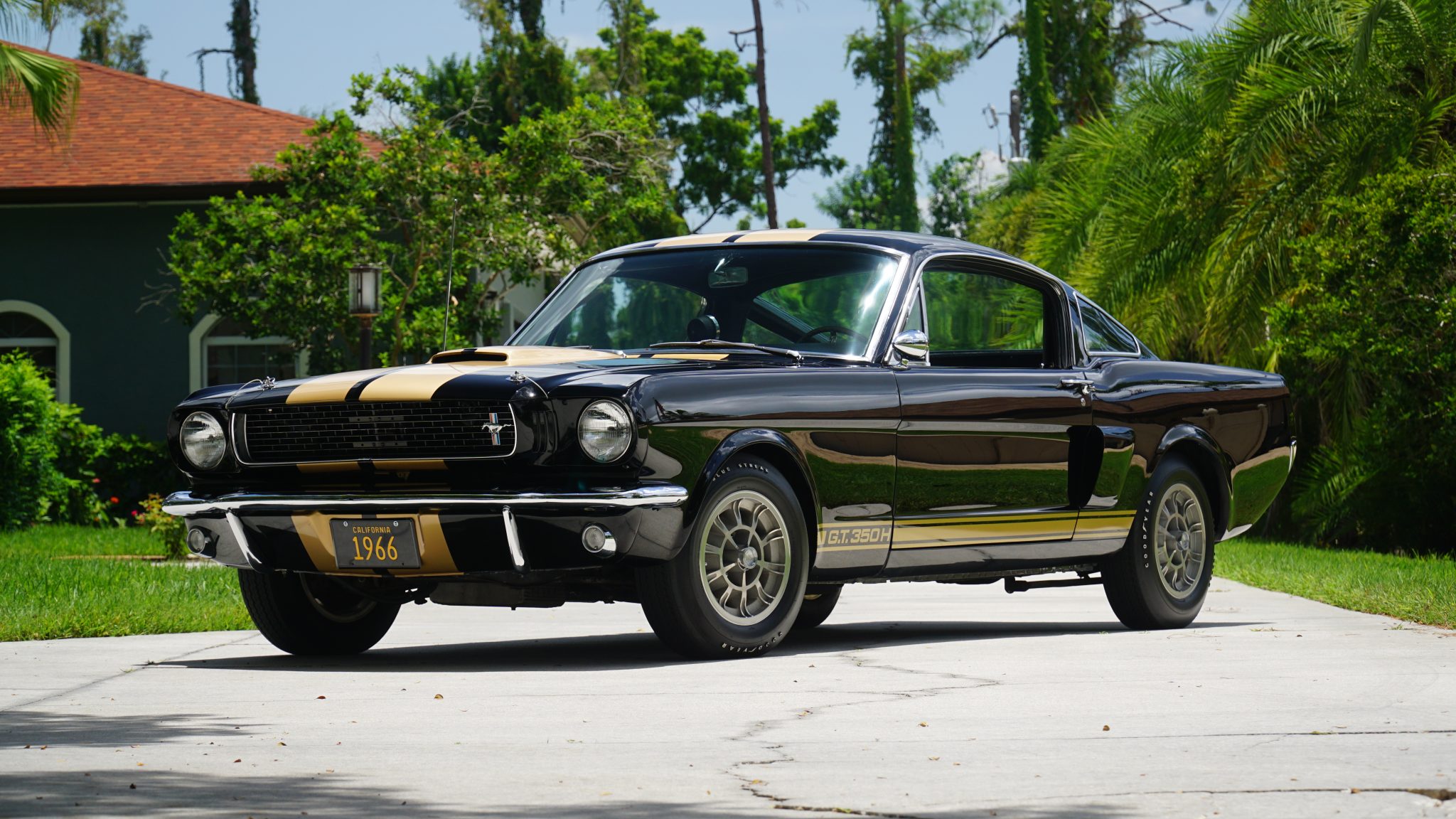 1966 Shelby Mustang GT350 & GT500 zu verkaufen – Schwarzer 289-V8-Klassiker mit Goldstreifen