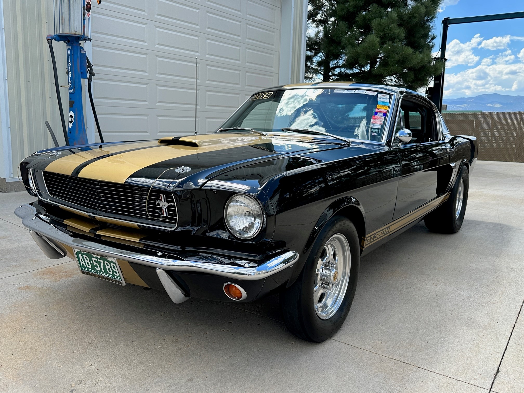 Shelby Mustang GT350 & GT500 1966 à vendre – Préparation drag noire et or avec V8 347