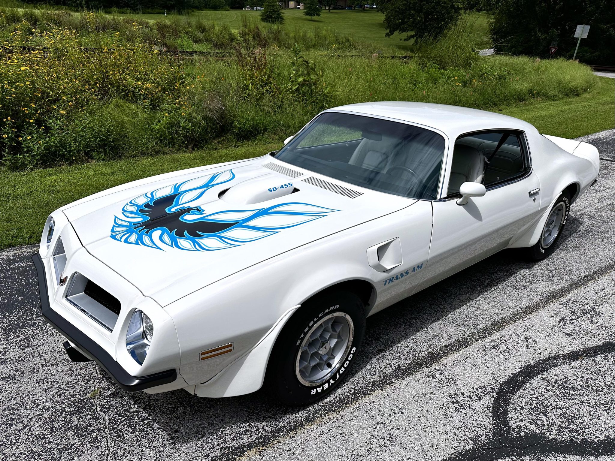 1974 Pontiac Firebird (1970-1981) for Sale – Cameo White Super Duty 455