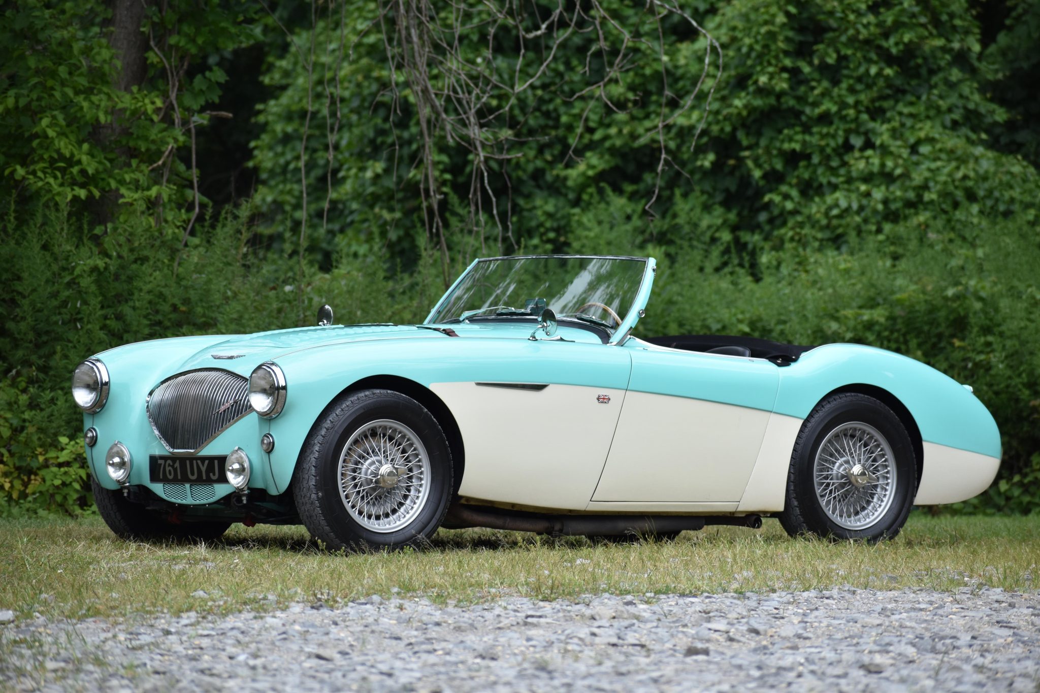1956 Austin-Healey 100 zu verkaufen – Florida Green Rallye-Roadster mit Fünfganggetriebe
