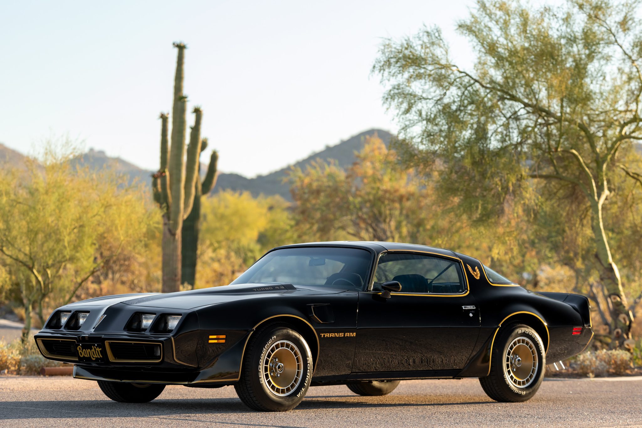 1980 Pontiac Firebird (1970-1981) for Sale – Black and Gold Turbo V8 Special Edition