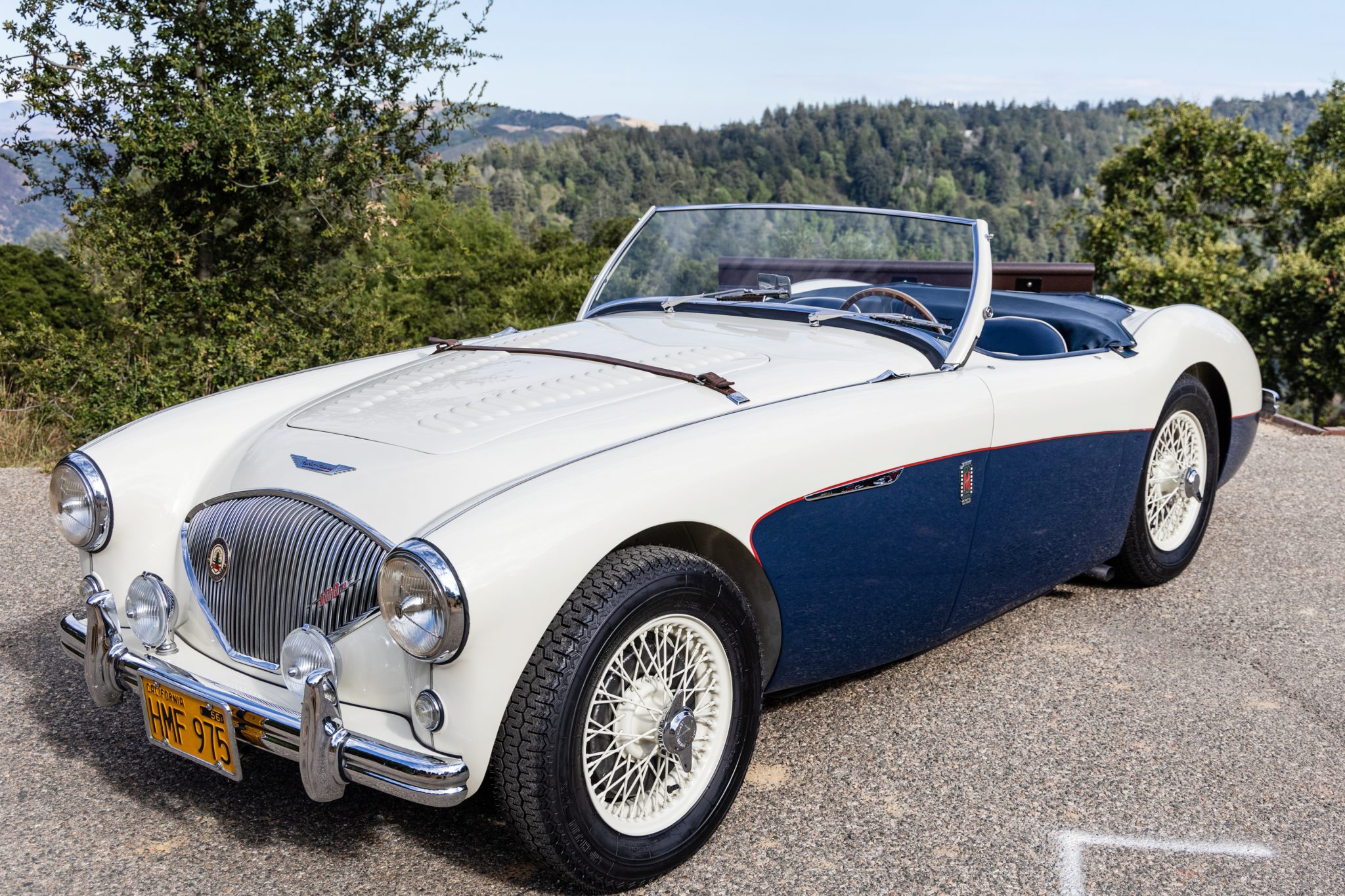 1956 Austin-Healey 100 zu verkaufen – Healey-Blue-Roadster mit 2,7-Liter-Motor