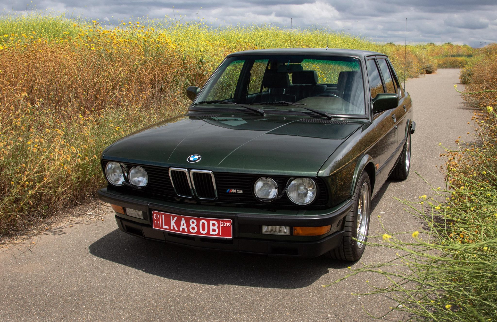 BMW E28 M5 1987 à vendre – Berline Malachite Green à moteur S38