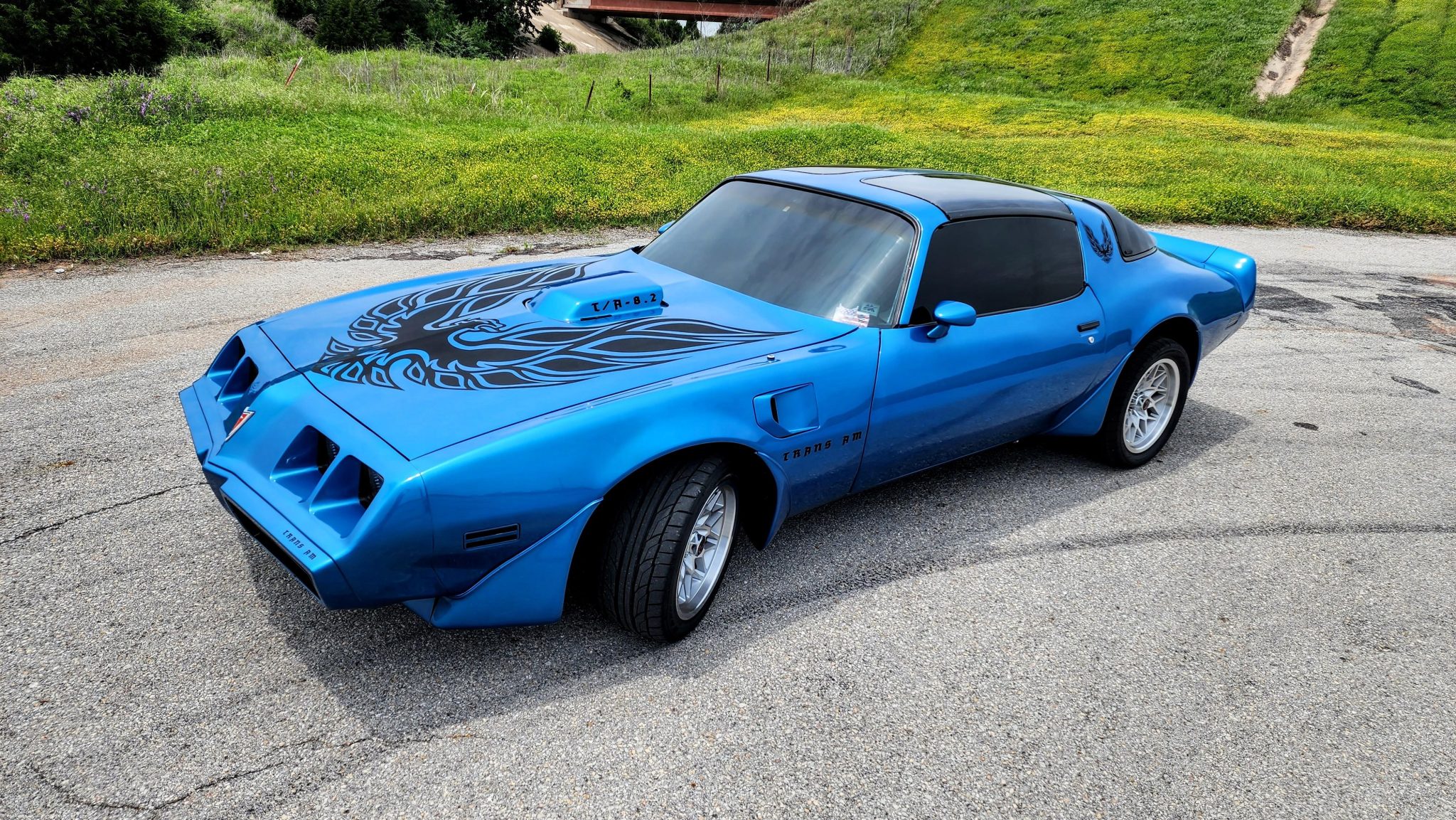 1979 Pontiac Firebird (1970-1981) zu verkaufen – Blaues Pro-Touring-Coupé mit 502ci-V8
