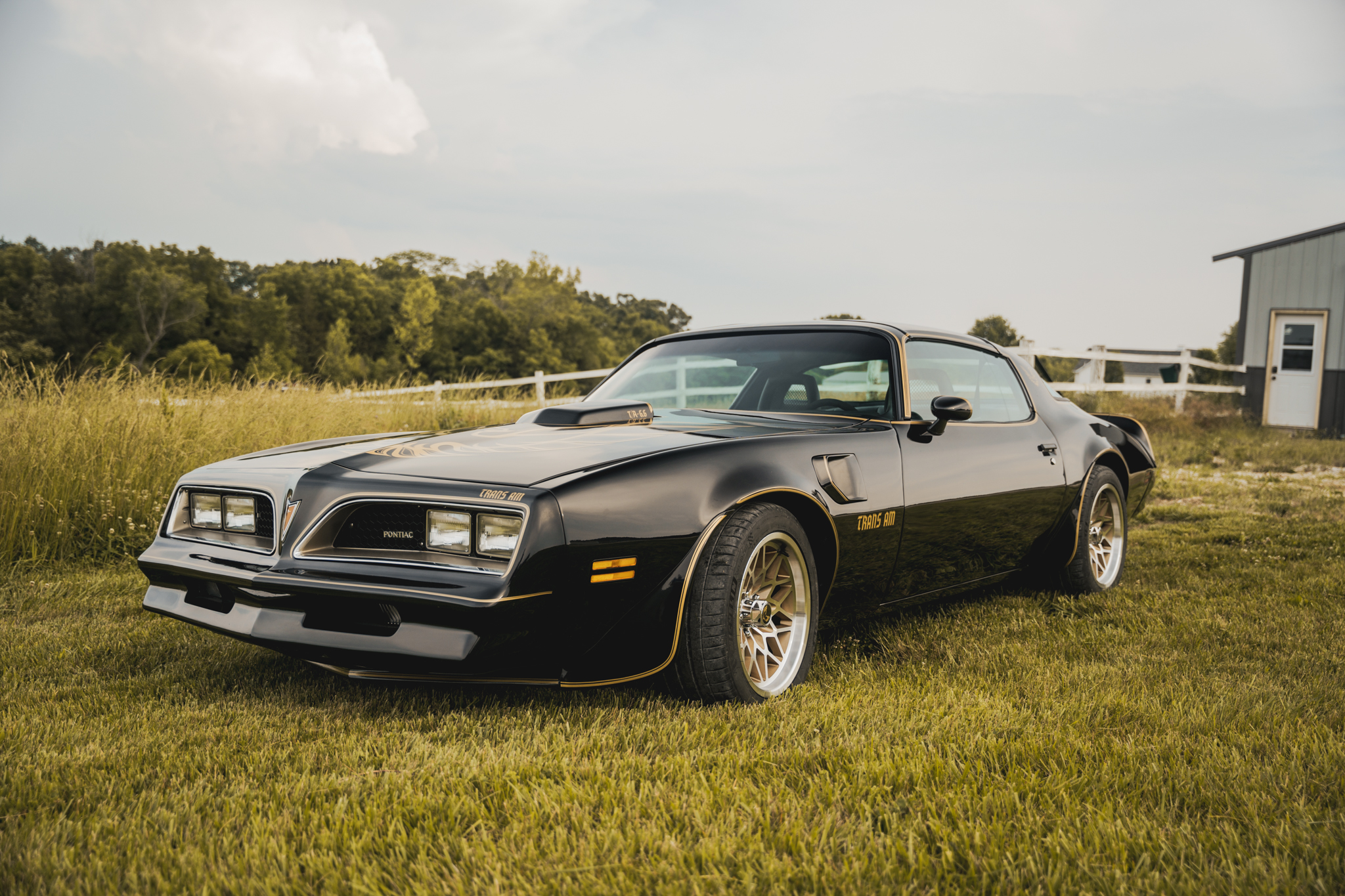 1977 Pontiac Firebird (1970-1981) for Sale – Black & Gold 417ci LS3 Restomod