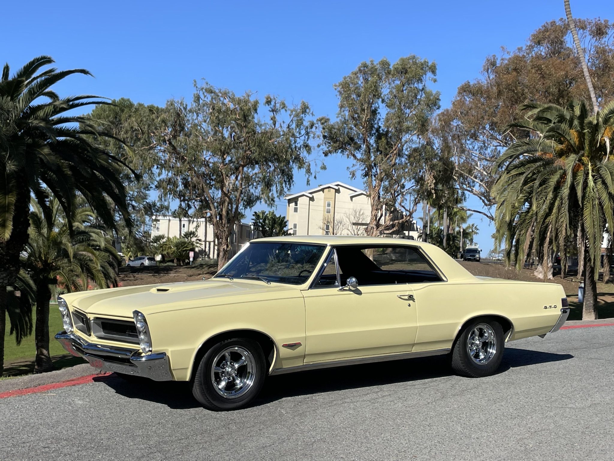 1965 Pontiac GTO zu verkaufen – Gelber Tri-Power 389 V8