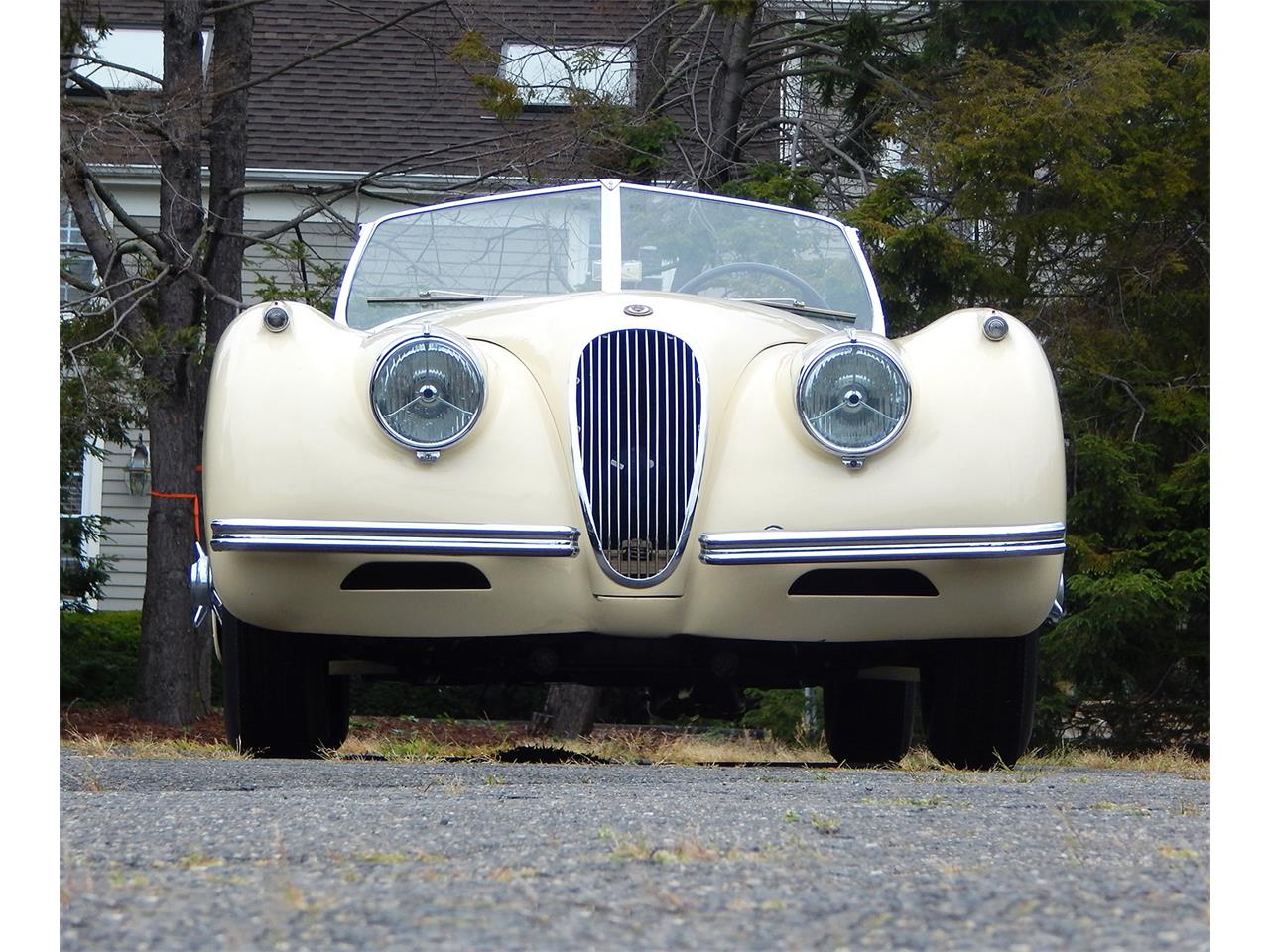 1954 Jaguar XK120