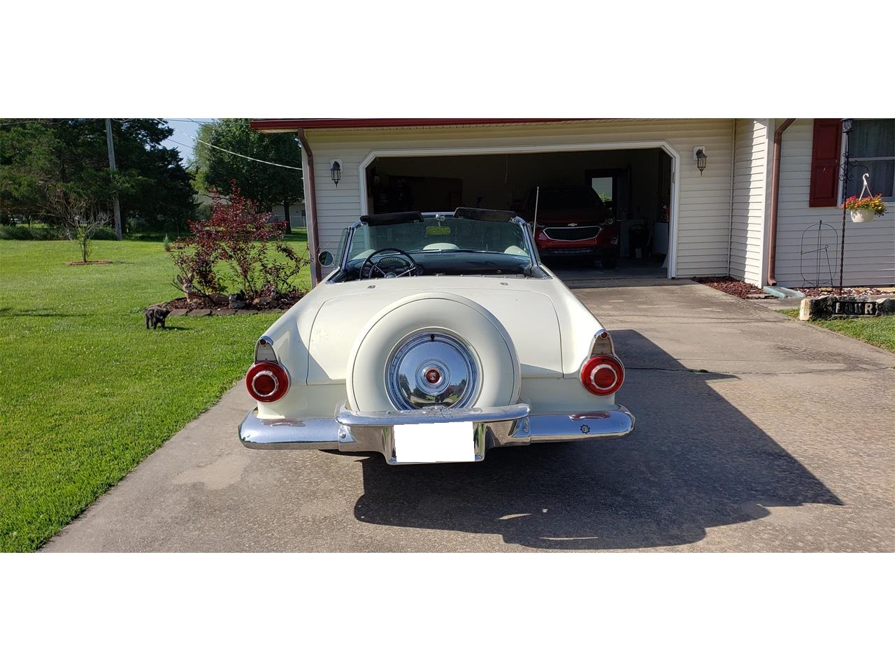 1956 Ford Thunderbird