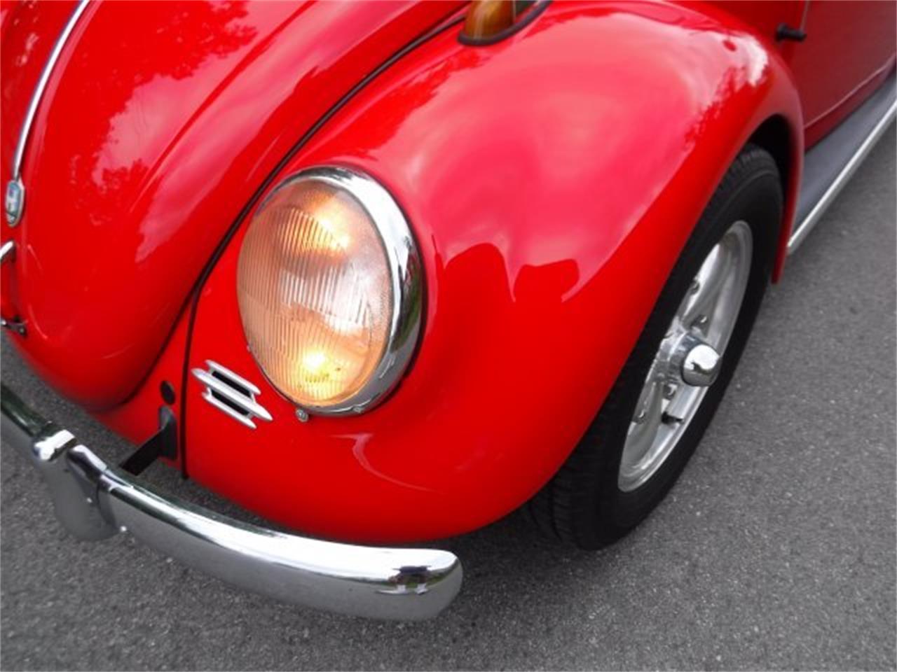 1959 Volkswagen Beetle