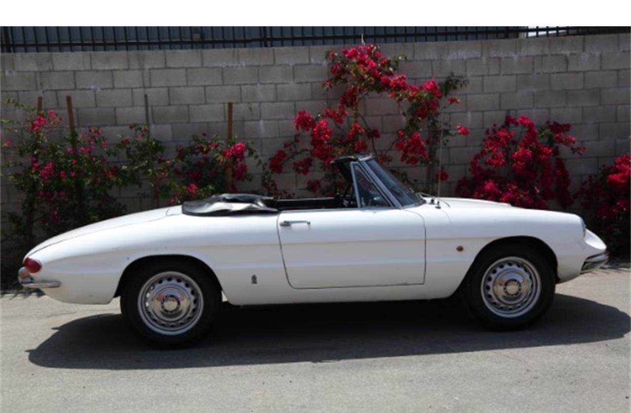 1967 Alfa Romeo Duetto