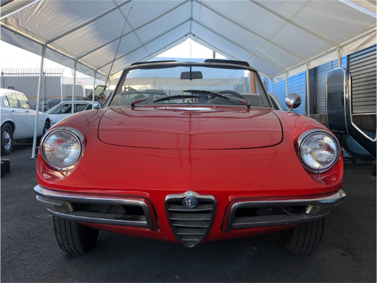 1967 Alfa Romeo Spider