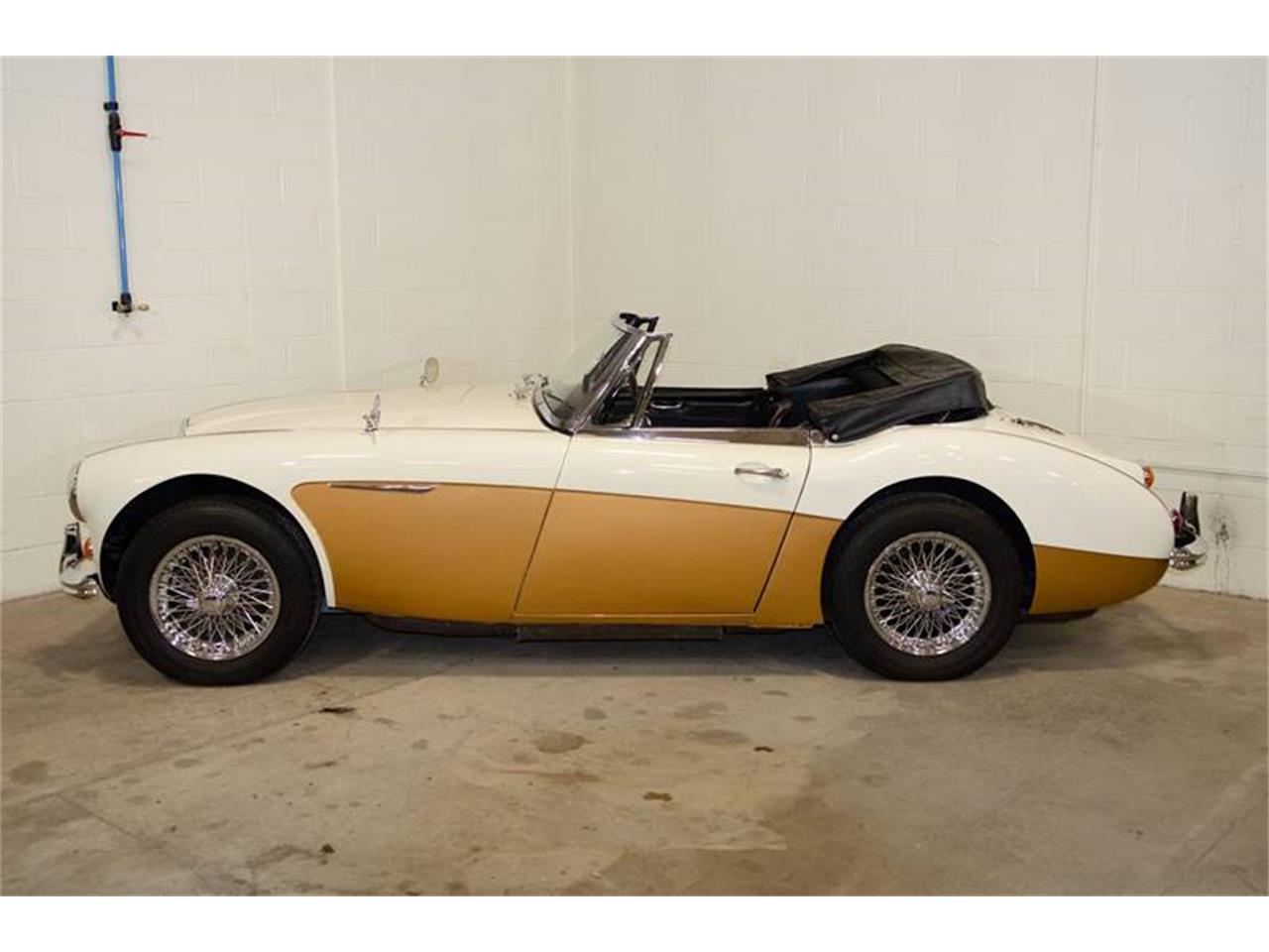 1966 Austin Healey BJ8