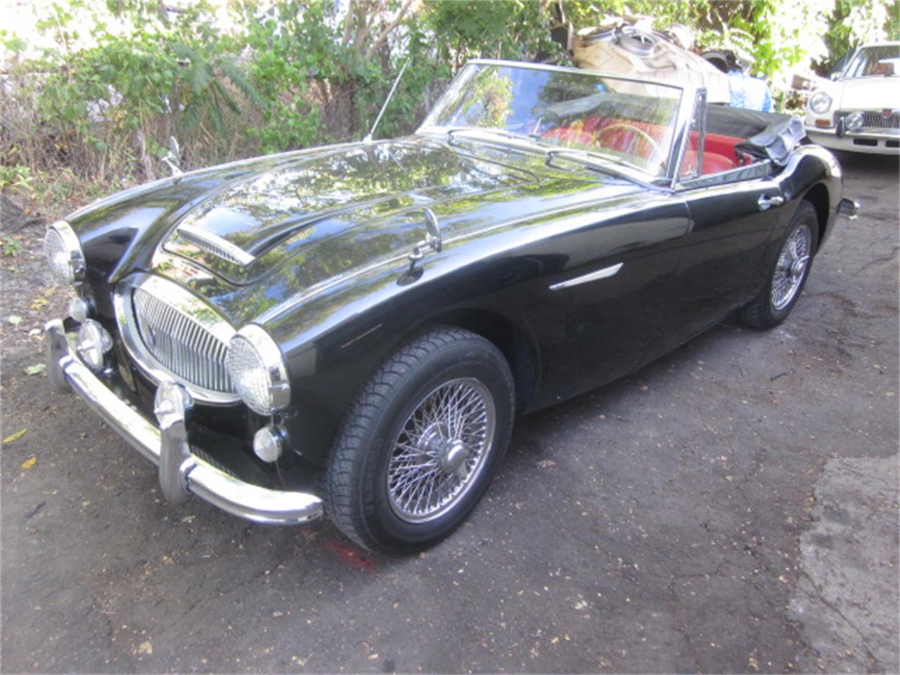 1965 Austin Healey 3000 Mark III BJ8