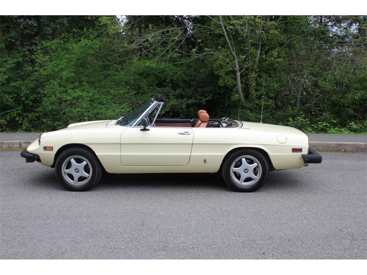 1976 Alfa Romeo Spider