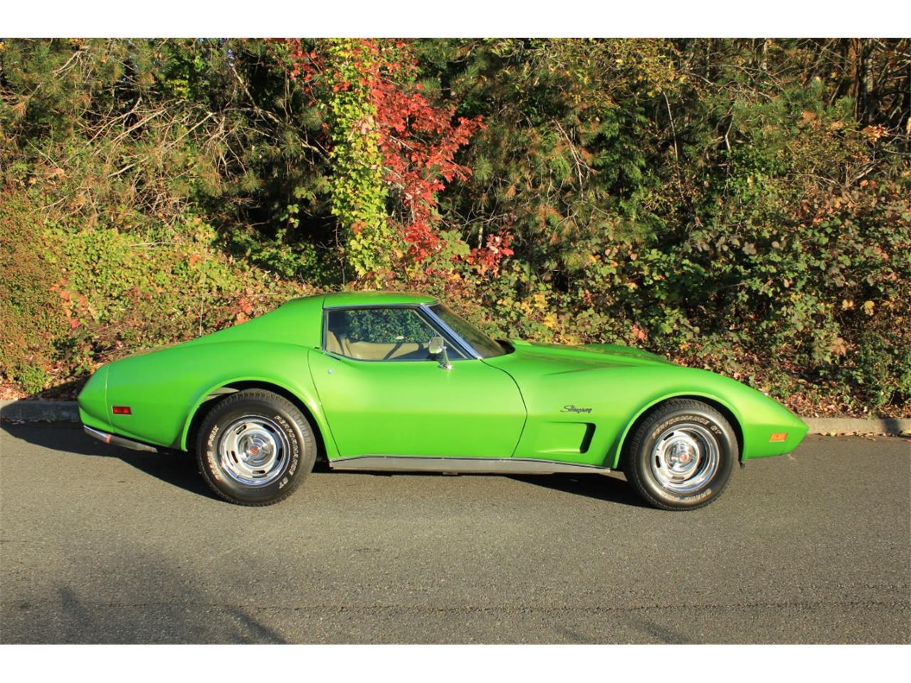 1975 Chevrolet Corvette