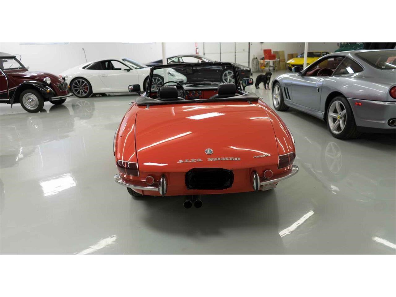 1969 Alfa Romeo 1750 Spider Veloce