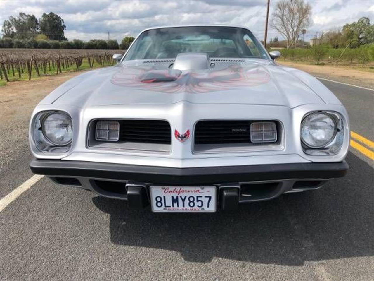 1975 Pontiac Firebird