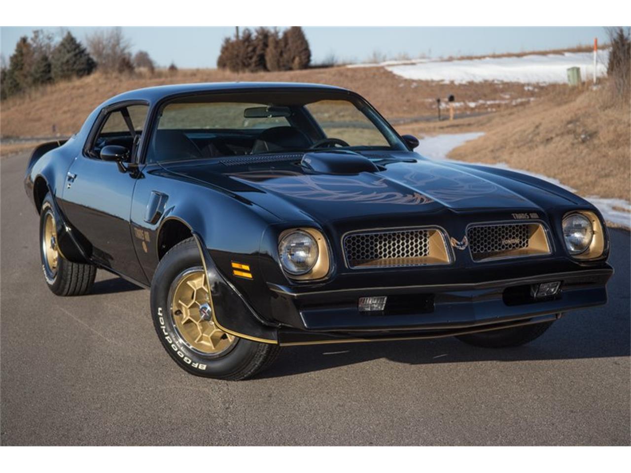 1976 Pontiac Firebird Trans Am