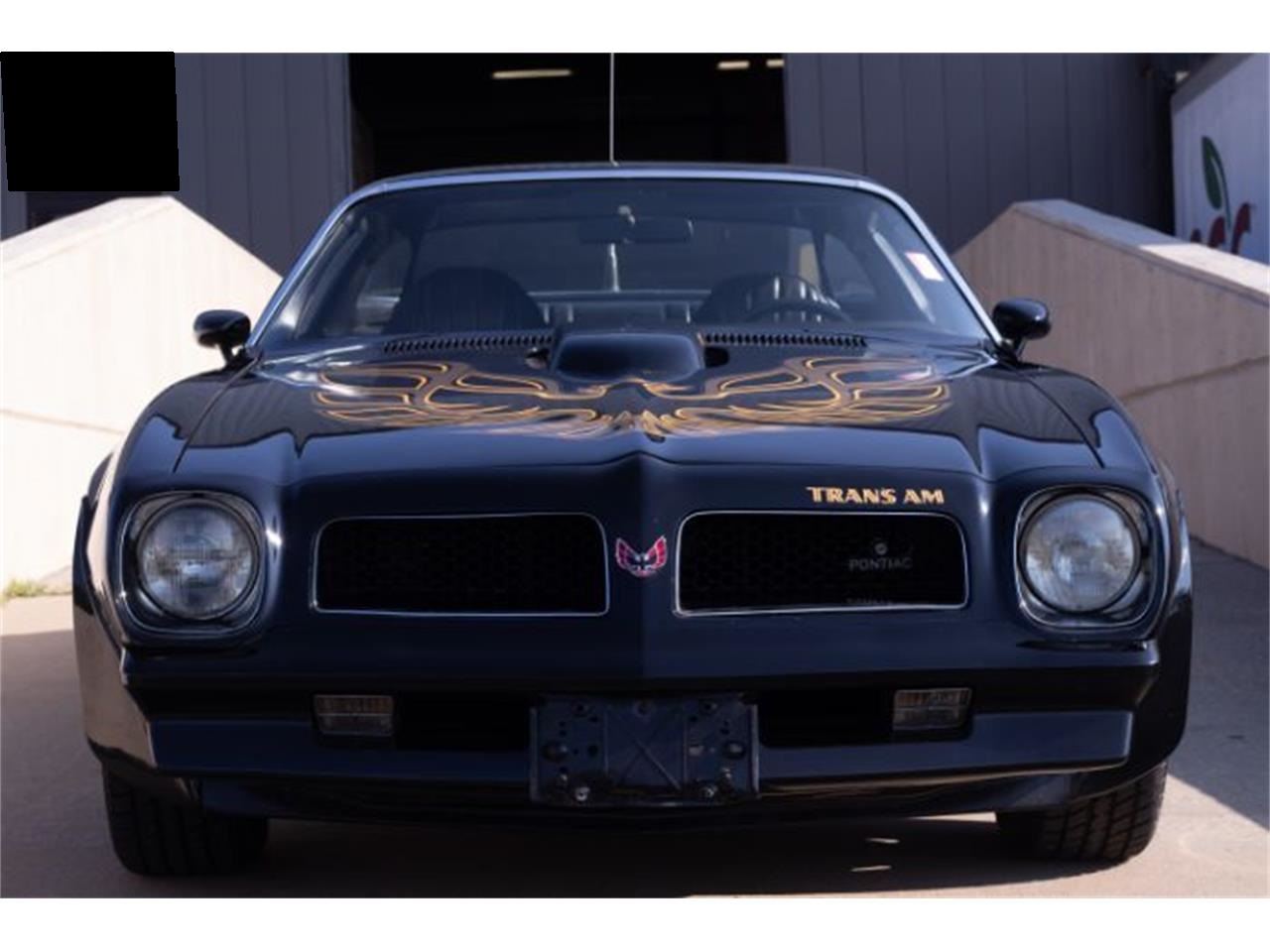 1976 Pontiac Firebird Trans Am