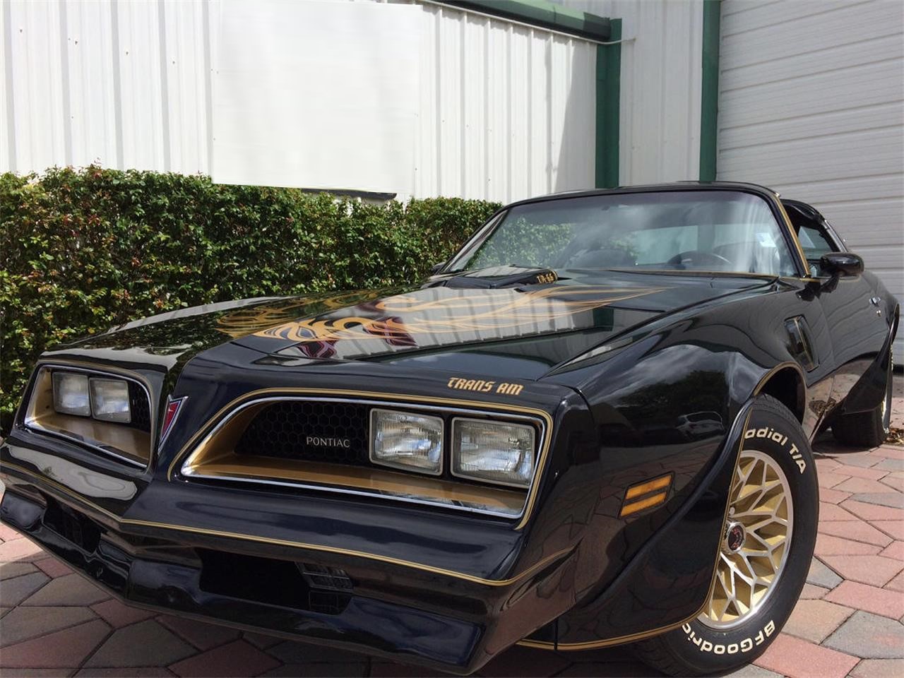 1977 Pontiac Firebird Trans Am SE