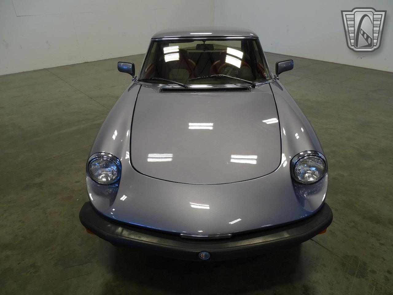 1981 Alfa Romeo Spider