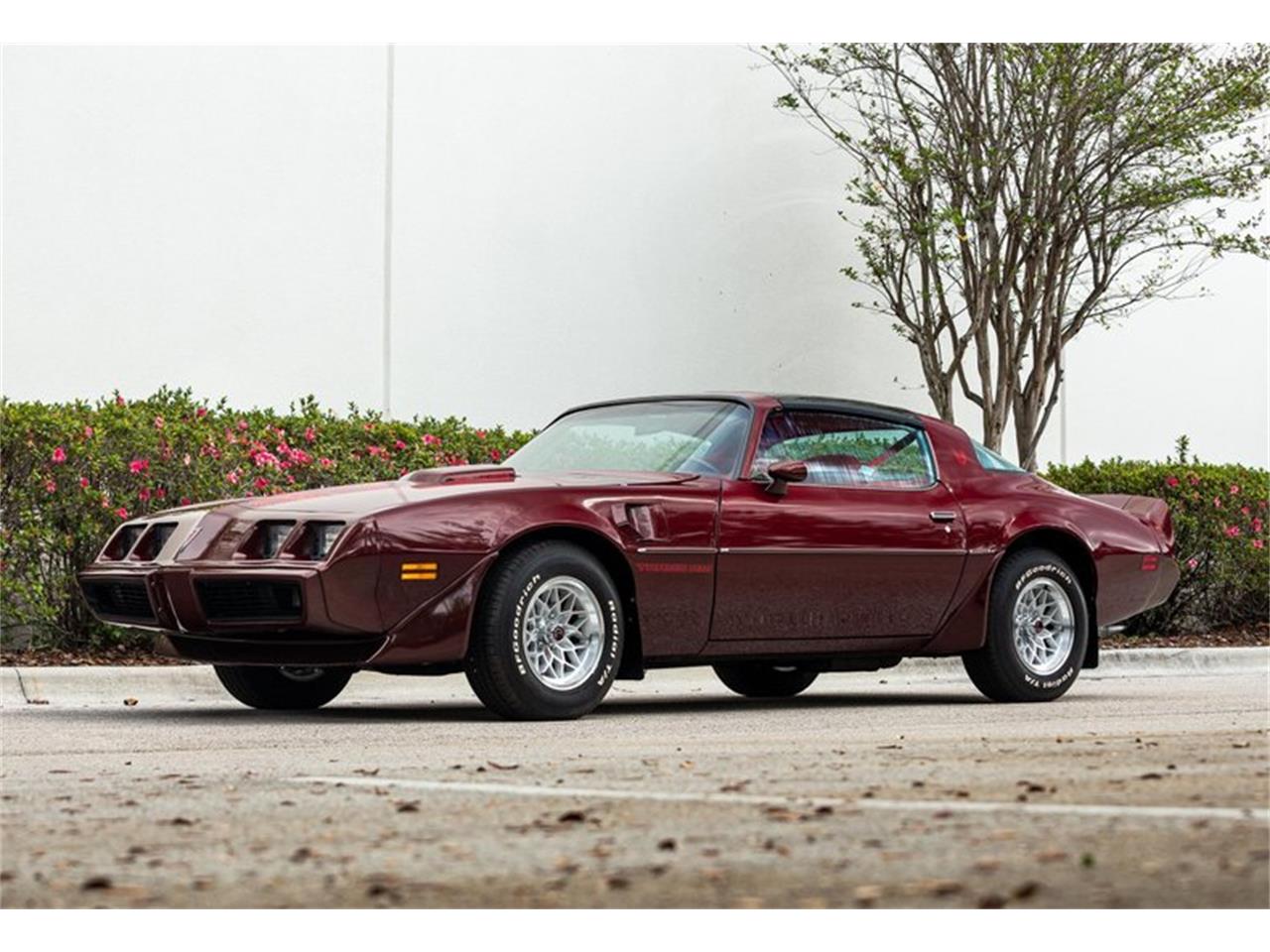 1981 Pontiac Firebird Trans Am