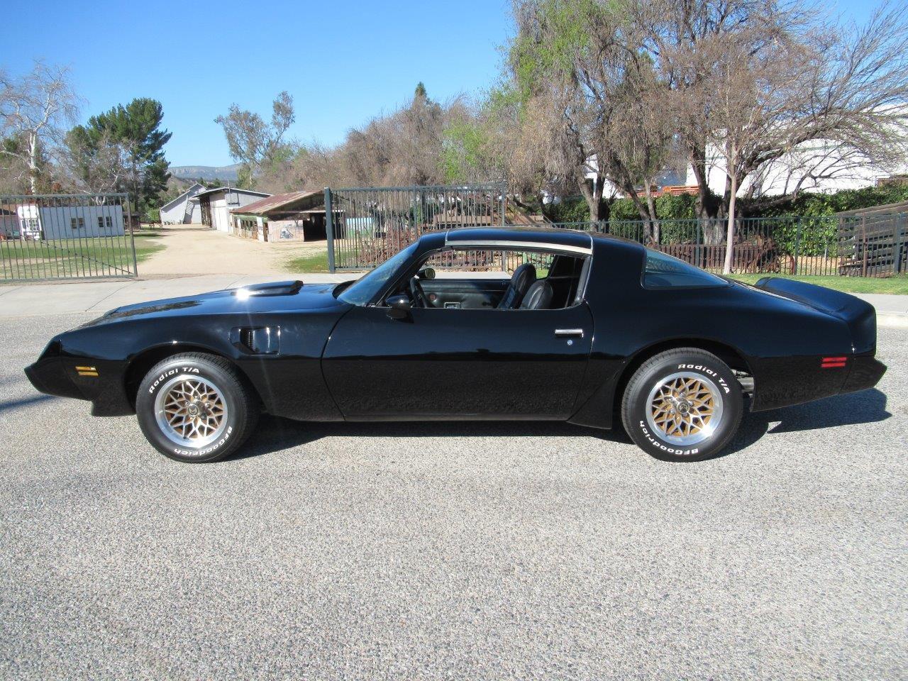 1979 Pontiac Firebird Trans Am