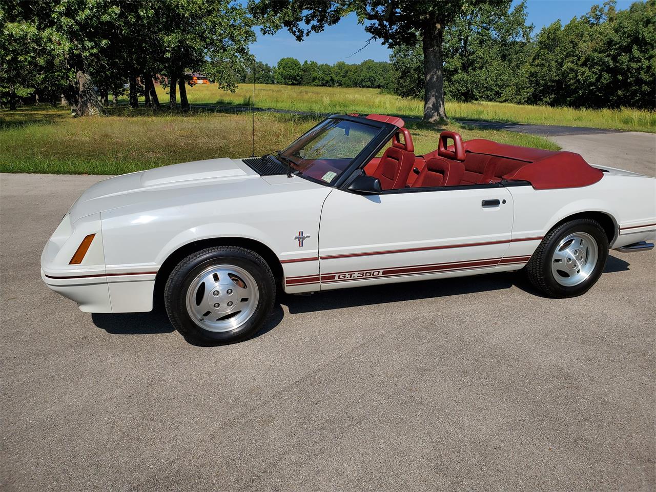 1984 Ford Mustang GT350