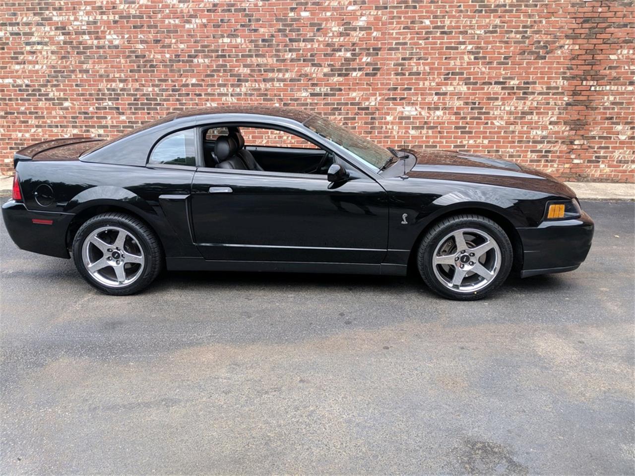 2004 Ford Mustang SVT Cobra