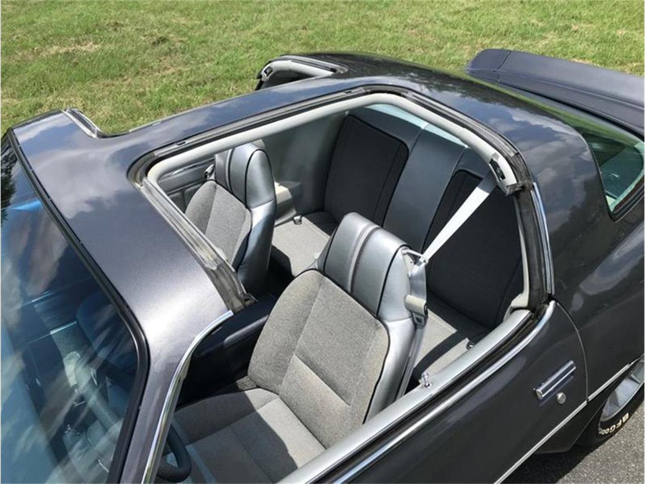 1981 Chevrolet Camaro