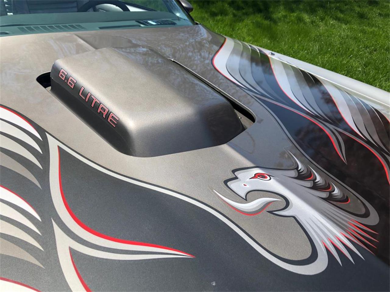 1979 Pontiac Firebird Trans Am