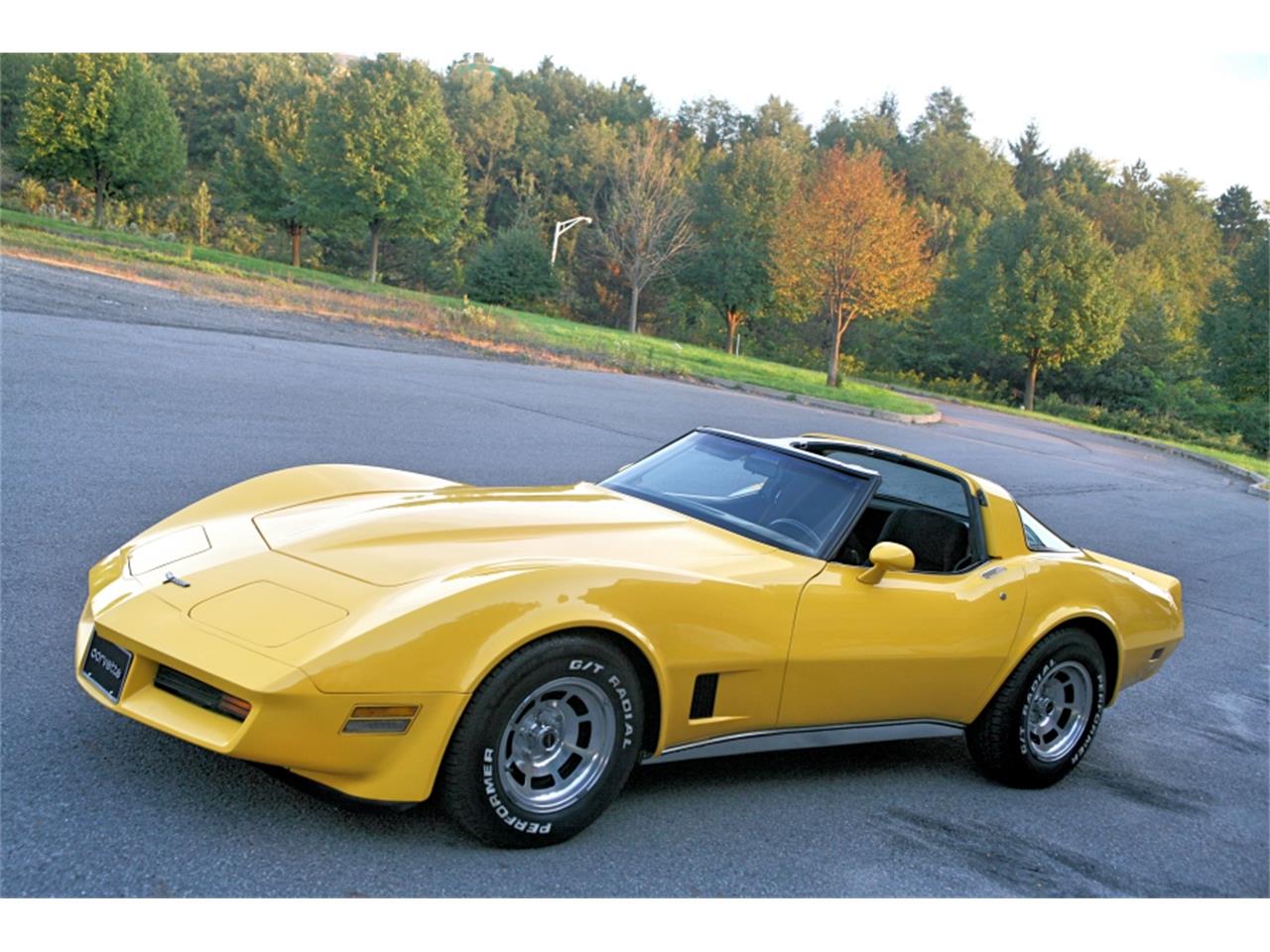 1981 Chevrolet Corvette