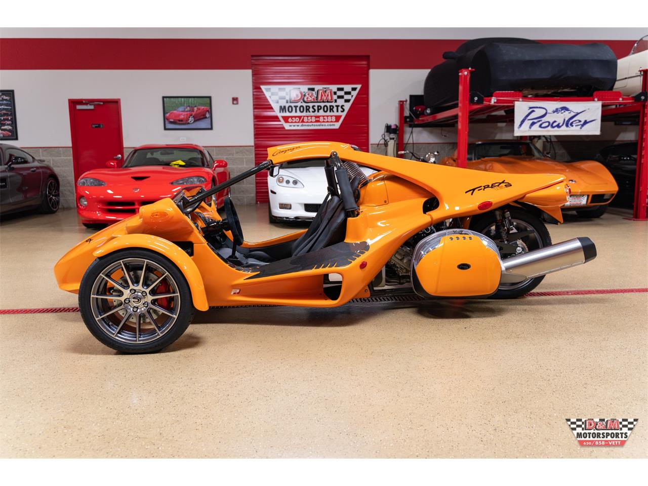 2020 Campagna T-Rex