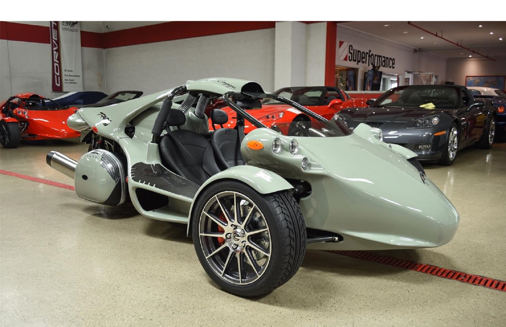 2020 Campagna T-Rex