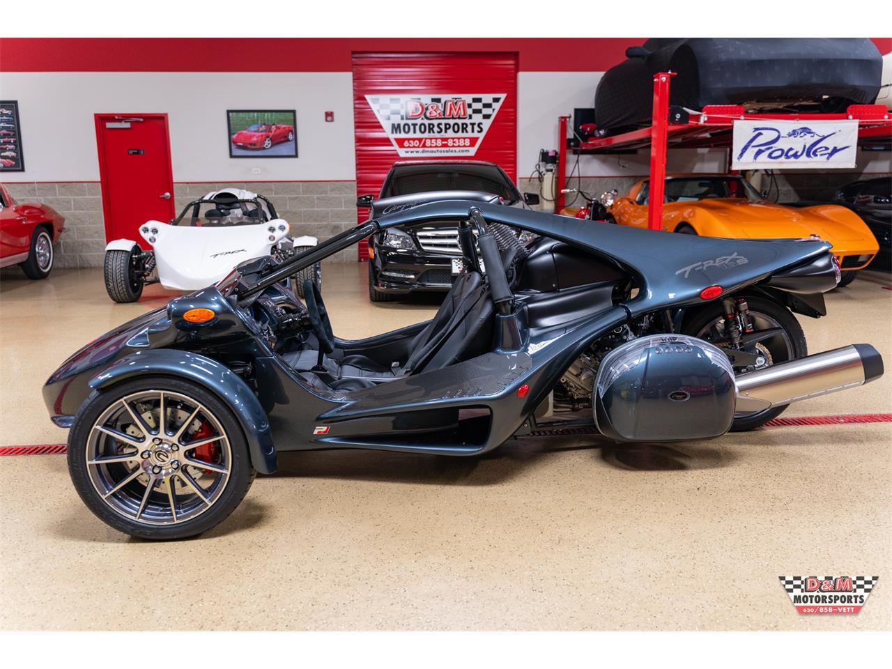 2020 Campagna T-Rex