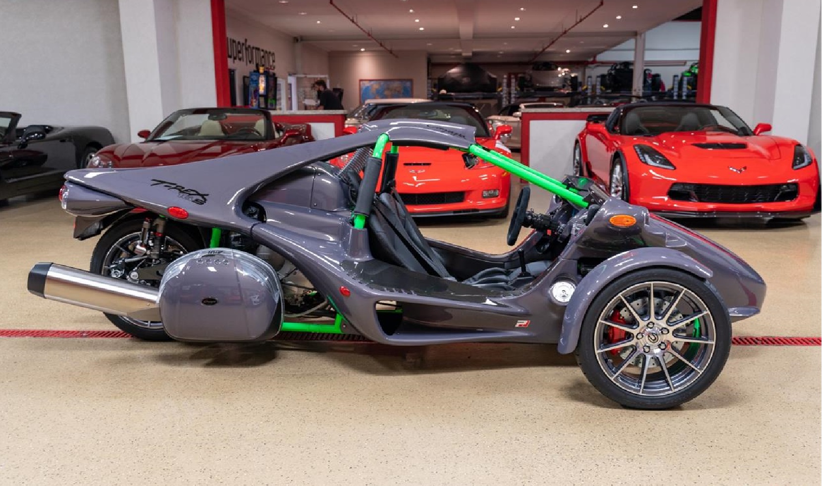 2020 Campagna T-Rex