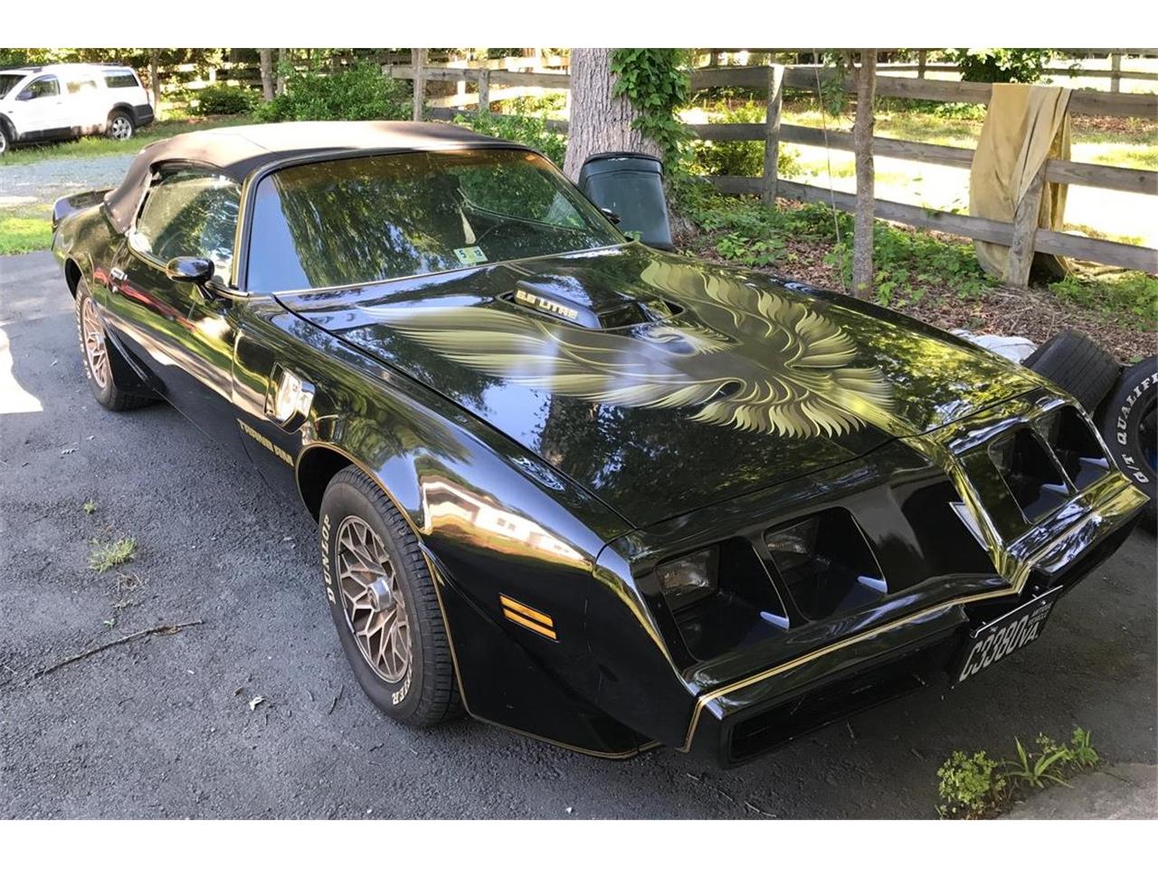1979 Pontiac Firebird Trans Am SE